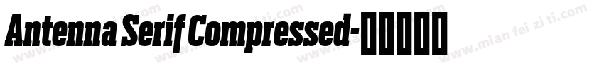 Antenna Serif Compressed字体转换